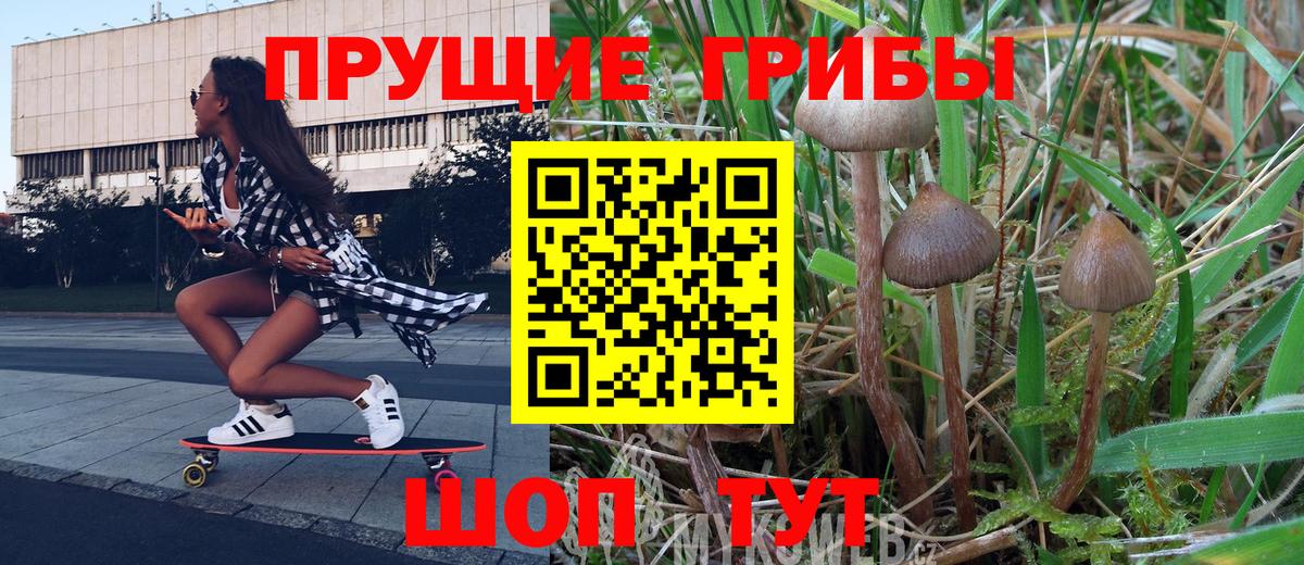 Галлюциногенные грибы GOLDEN TEACHER Луховицы