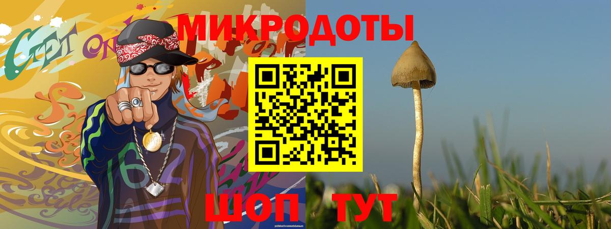 Псилоцибиновые грибы MAGIC MUSHROOMS  Вход с VPN  Луховицы  Галлюциногенные грибы мицелий 